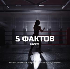 РУБРИКА «5 ФАКТОВ О СПОРТЕ»: БОКС